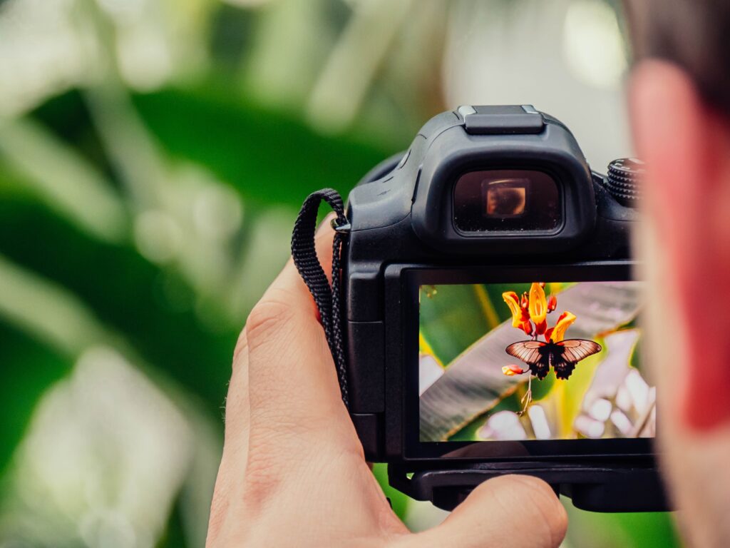 How to become a successful professional photographer