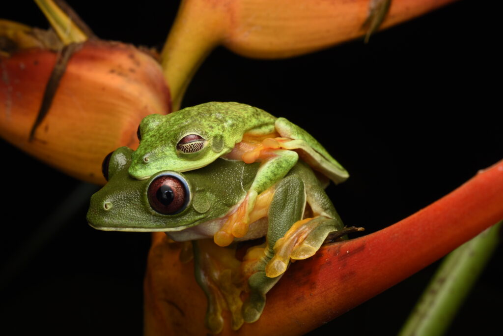 Learn the Secrets of the Best Photographer