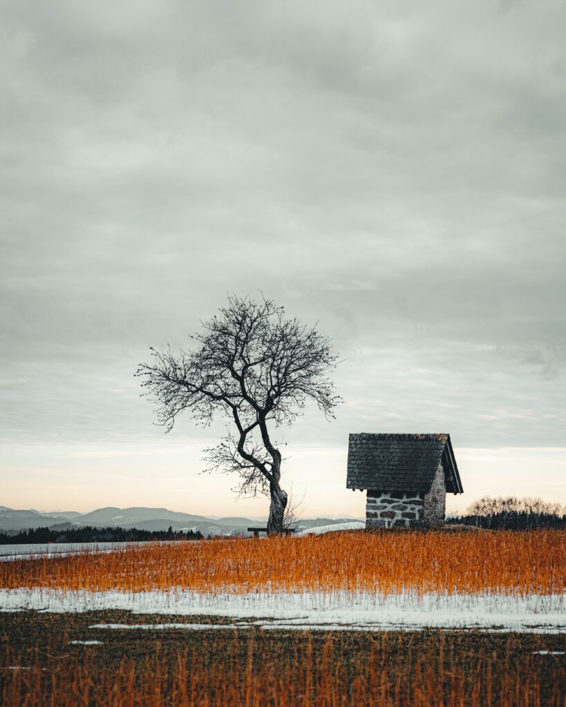 Discover the Art of Landscape Photography