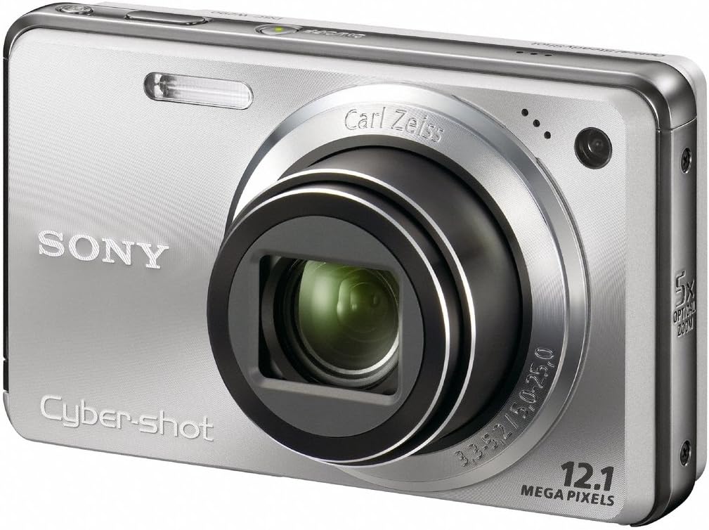 Sony Cyber-shot DSC-W290 12 MP Digital Camera with 5x Optical Zoom and Super Steady Shot Image Stabilization (Dark Blue) (OLD MODEL)