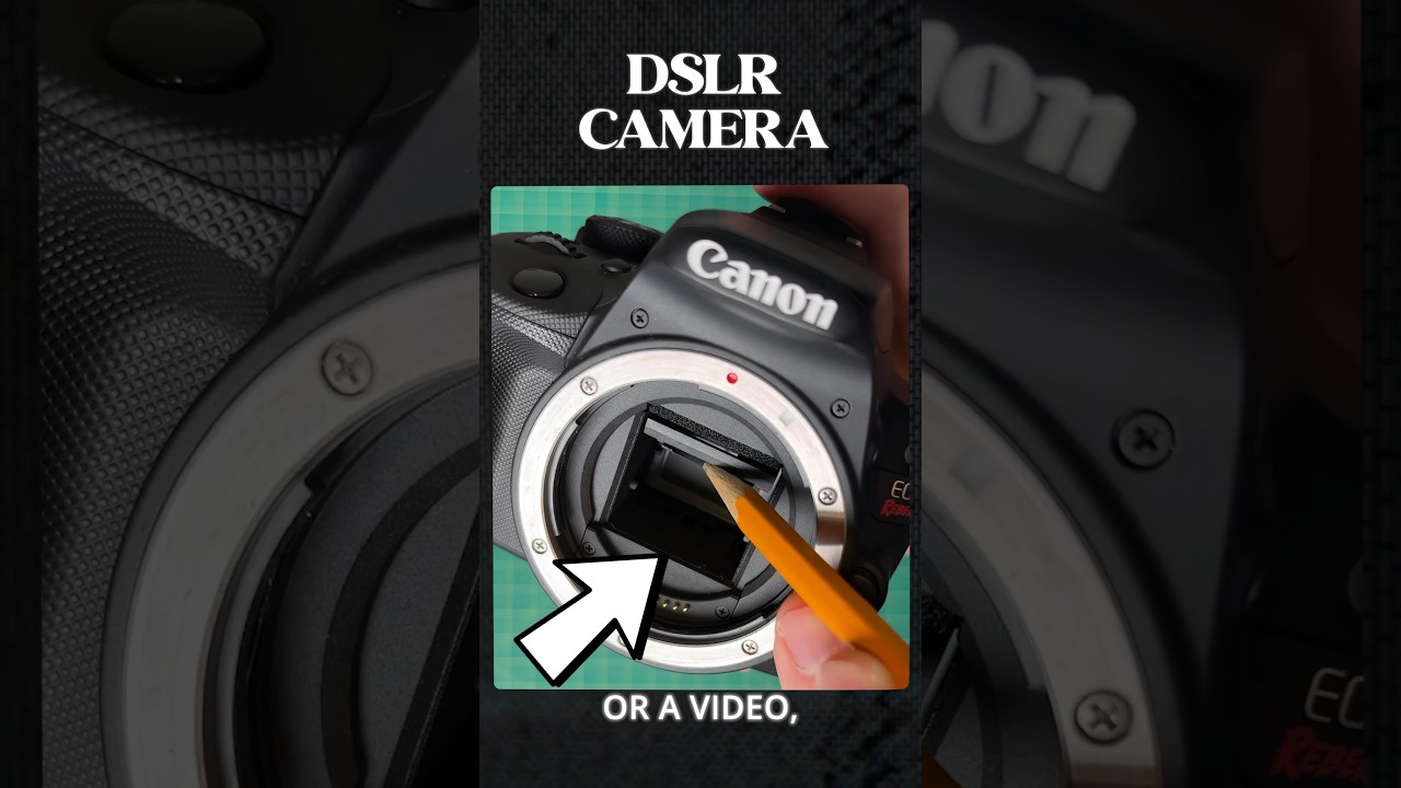 DSLR vs Mirrorless Camera for Video Creators